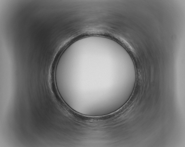 X0000112530487200908171148