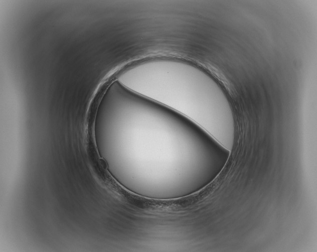 X0000112530488200908171148