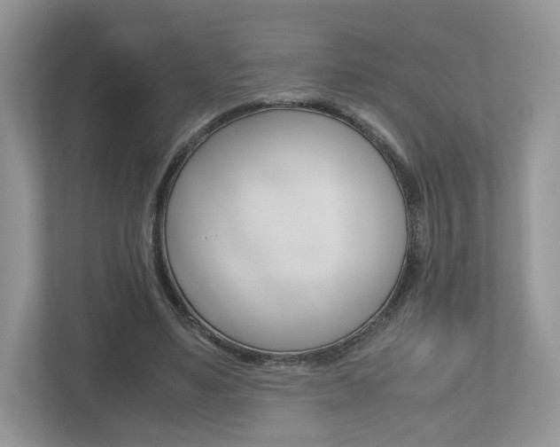 X0000112530491200908171148