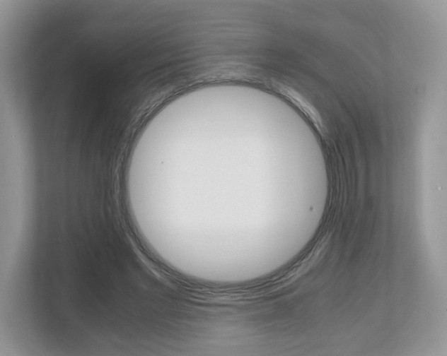 X0000112530493200908171148
