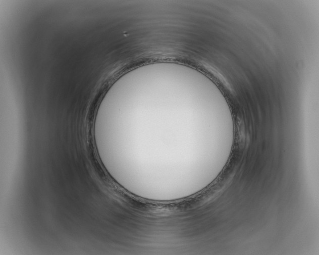 X0000112530494200908171148