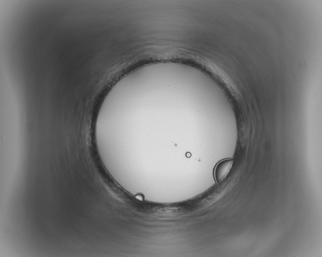 X0000112530497200908171148