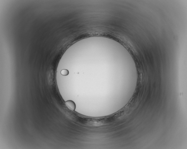 X0000112530498200908171148