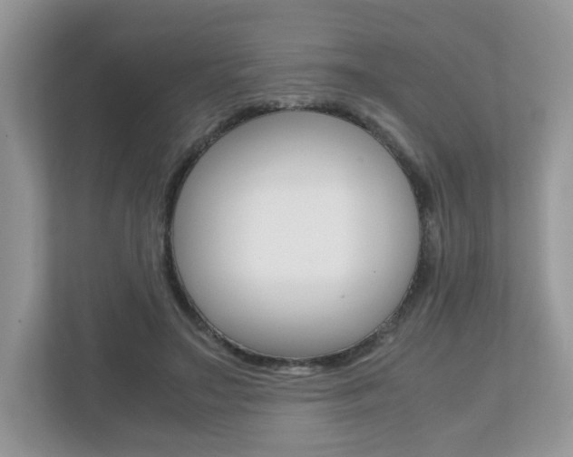 X0000112530499200908171148