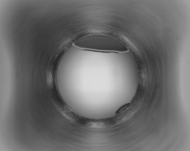 X0000112530500200908171148