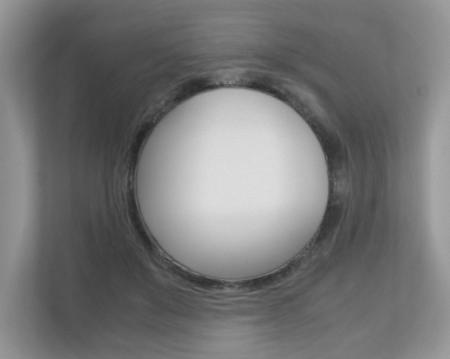 X0000112530503200908171148