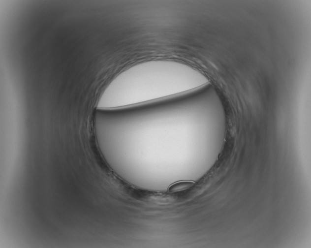 X0000112530515200908171147