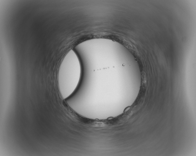 X0000112530519200908171147