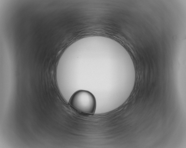 X0000112530520200908171147