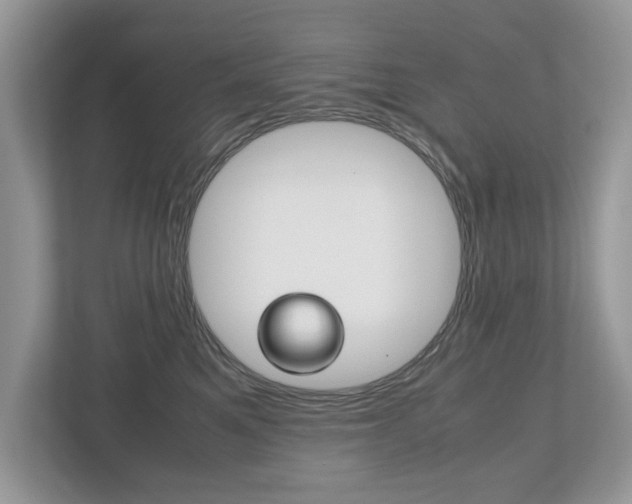 X0000112530521200908171147