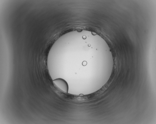 X0000112530522200908171147