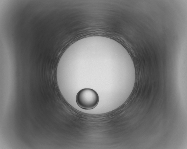 X0000112530524200908171147