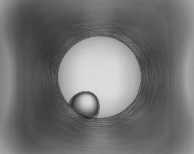 X0000112530525200908171147