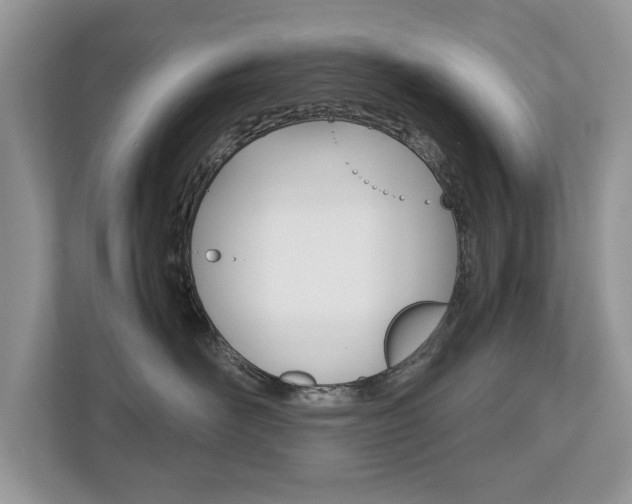 X0000112530526200908171147