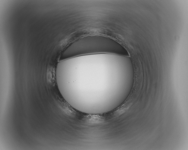 X0000112530528200908171147