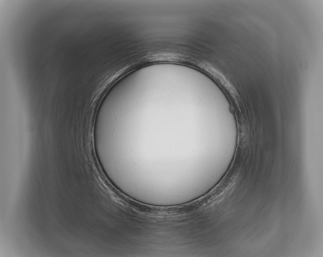 X0000112530529200908171147