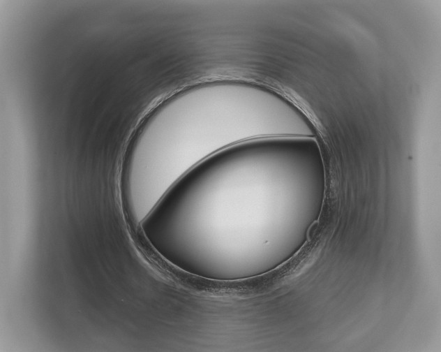 X0000112530530200908171147