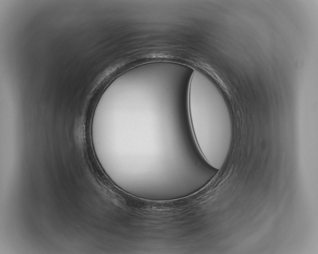 X0000112530531200908171147