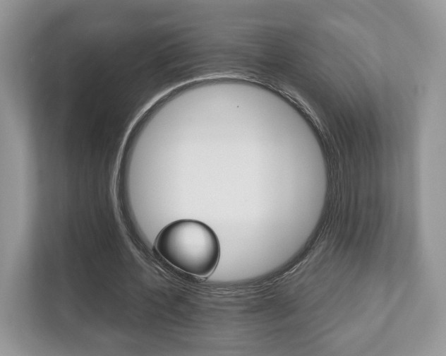 X0000112530532200908171147