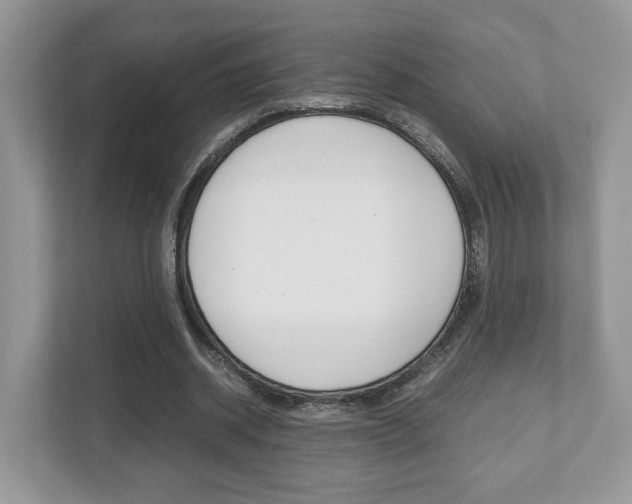 X0000112530534200908171147
