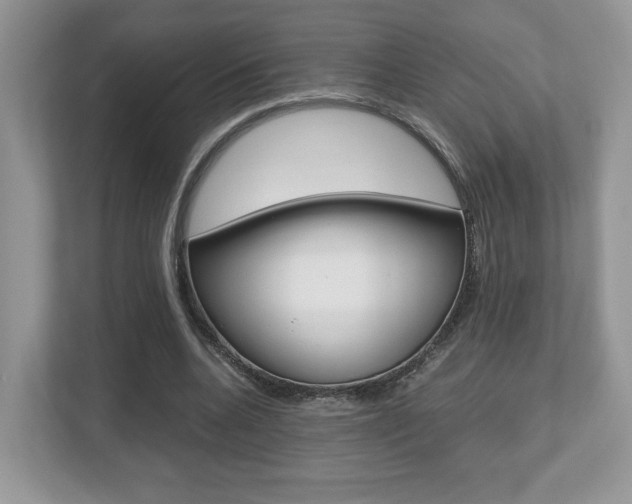 X0000112530536200908171147