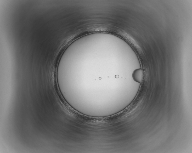 X0000112530537200908171147