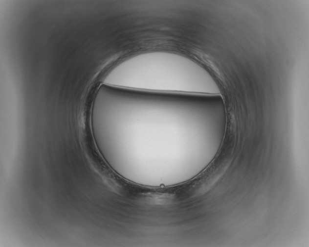X0000112530539200908171147