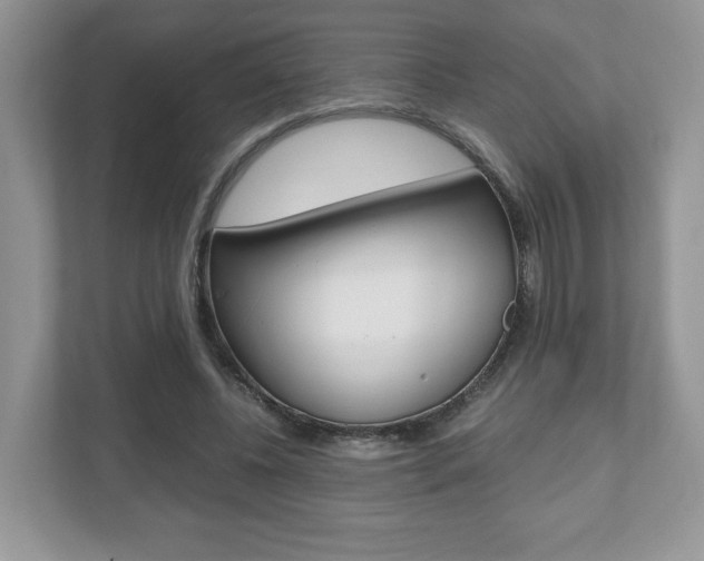 X0000112530540200908171147