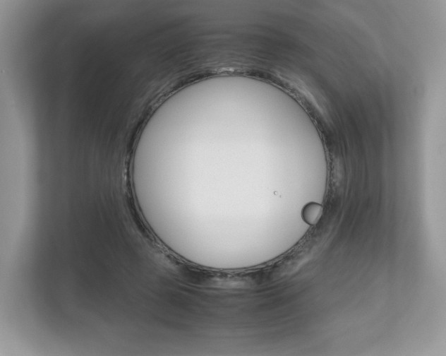 X0000112530545200908171147