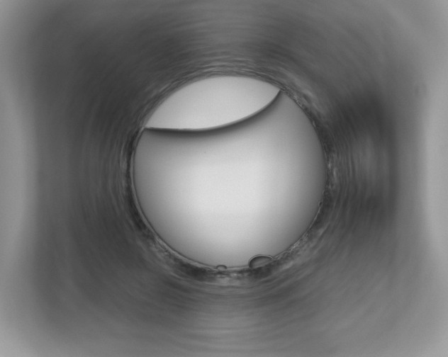 X0000112530550200908171147