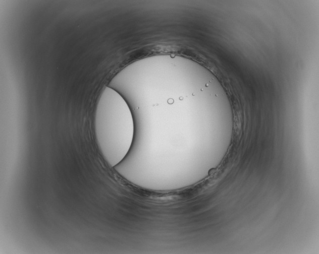X0000112530553200908171147