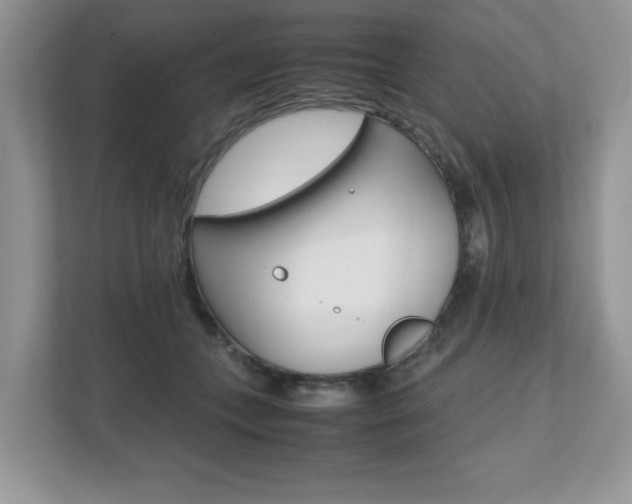 X0000112530559200908171147