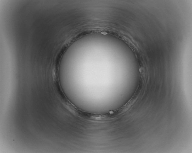 X0000112530564200908171147