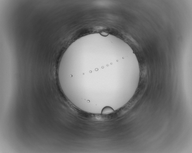 X0000112530565200908171147
