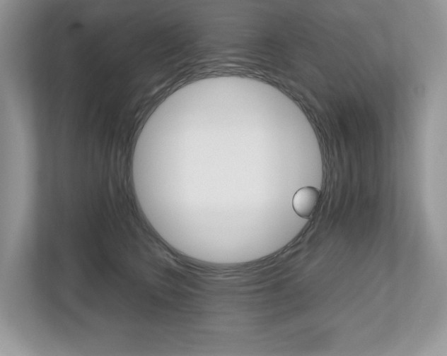 X0000112530566200908171147