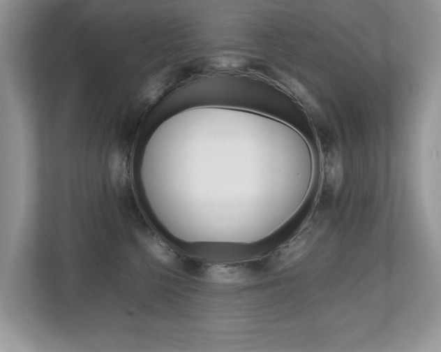 X0000112530568200908171147