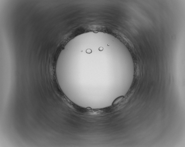 X0000112530569200908171147