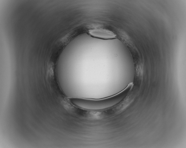 X0000112530570200908171147