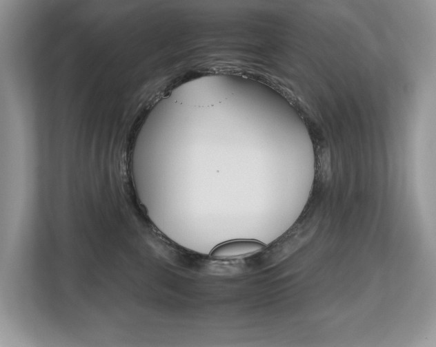 X0000112530571200908171147