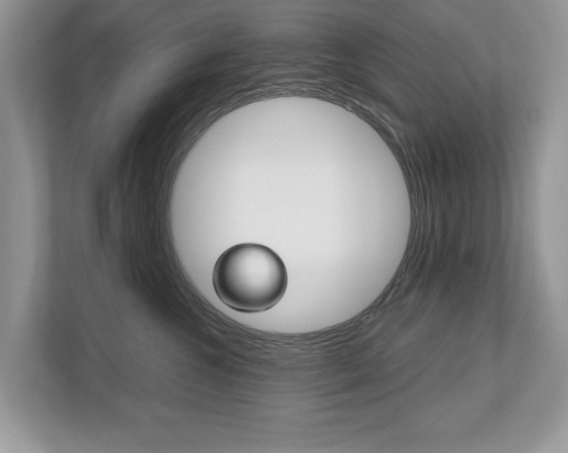 X0000112530572200908171147