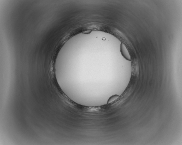 X0000112530573200908171147