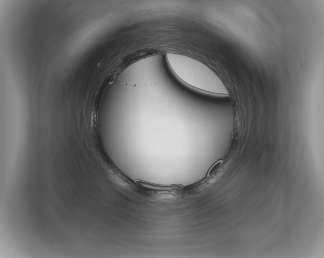 X0000112530574200908171147