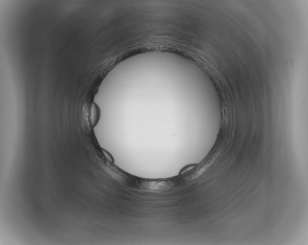 X0000112530575200908171147