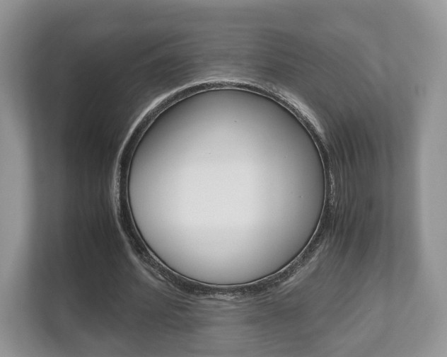 X0000112530580200908171147