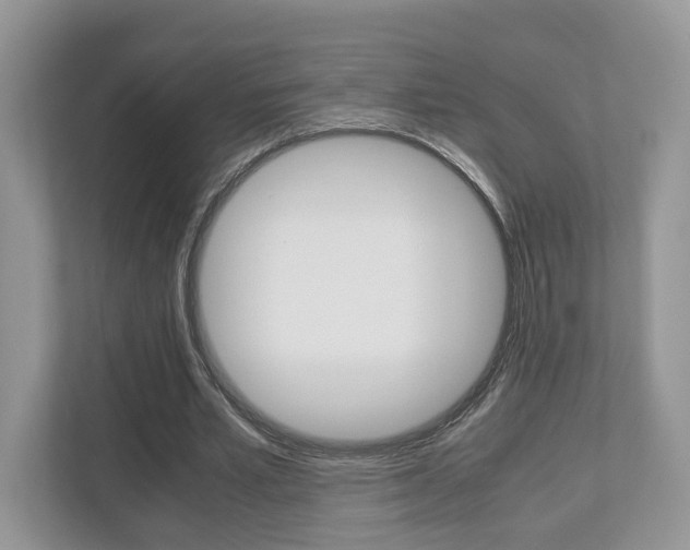 X0000112530581200908171147