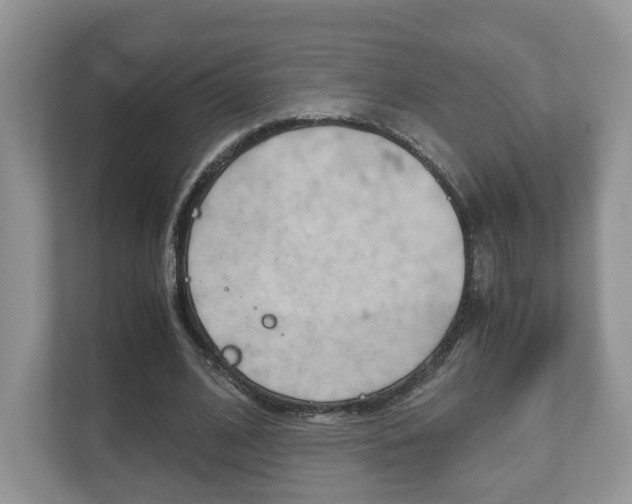 X0000112530584200908171146