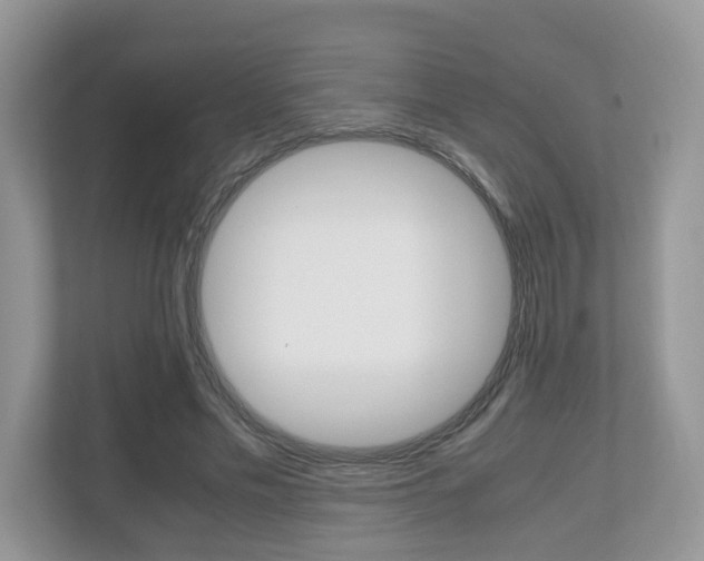 X0000112530589200908171146
