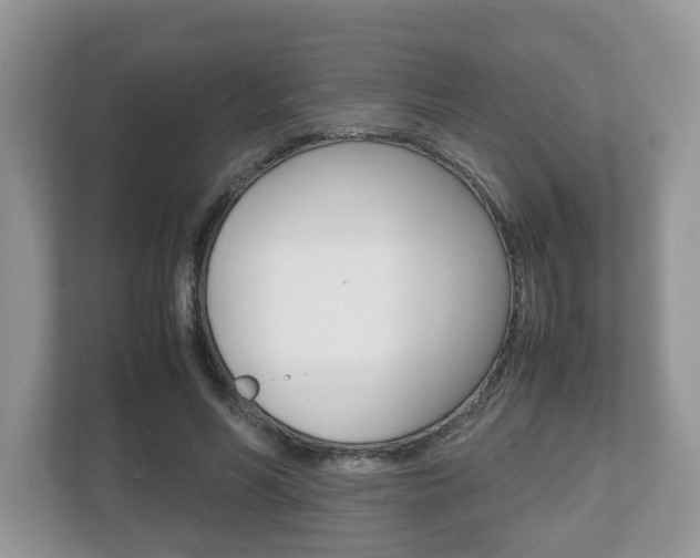 X0000112530590200908171146