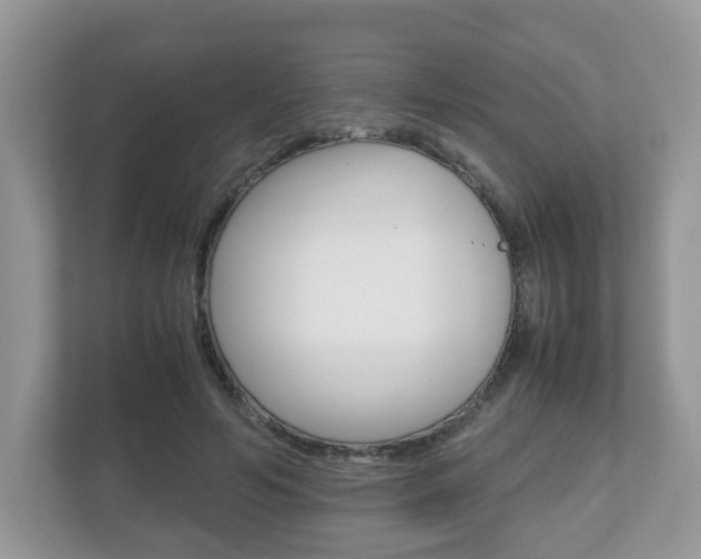 X0000112530594200908171146
