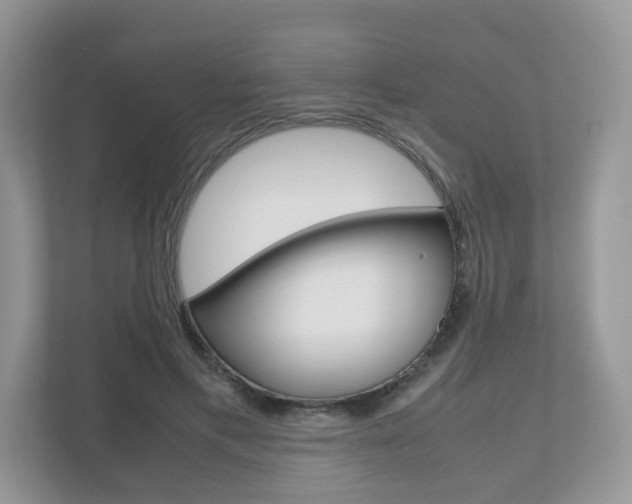 X0000112530597200908171146